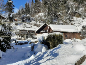 Holiday apartment in Feld am See in Carinthia